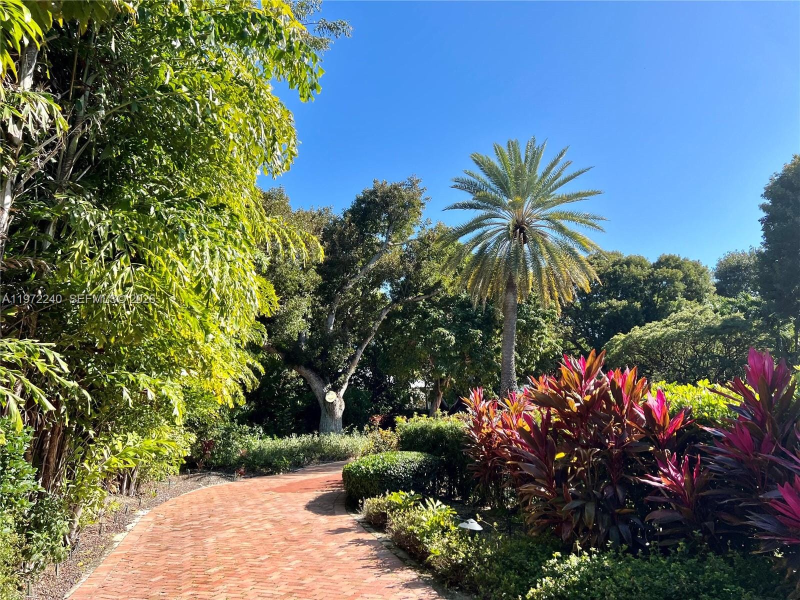 20 Avacado Street — photo 12