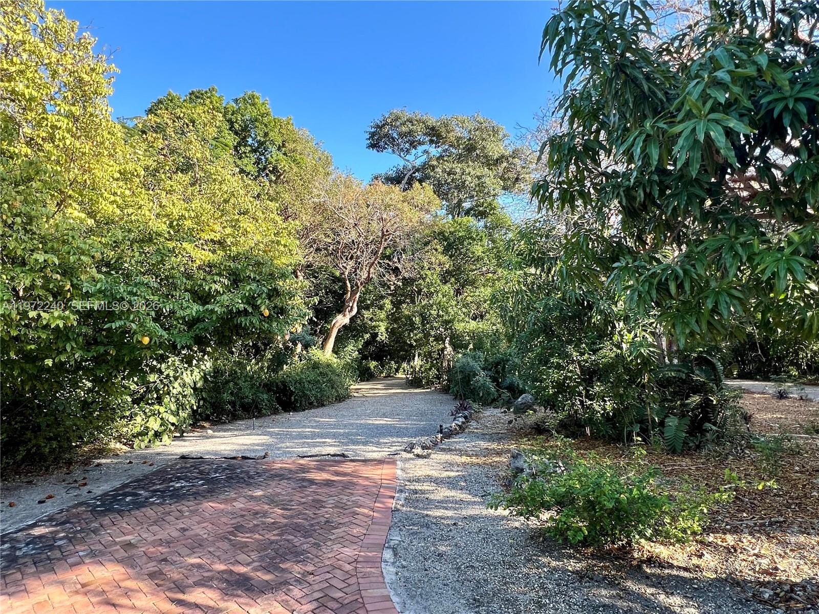 20 Avacado Street — photo 10