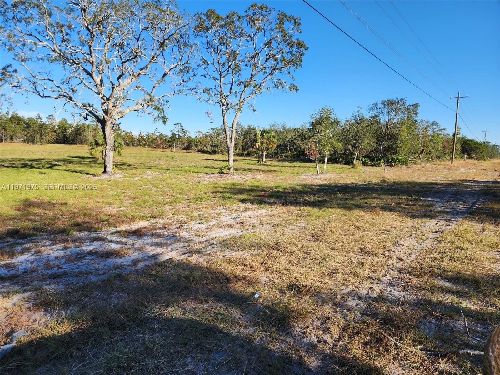 Beach Road — photo 3