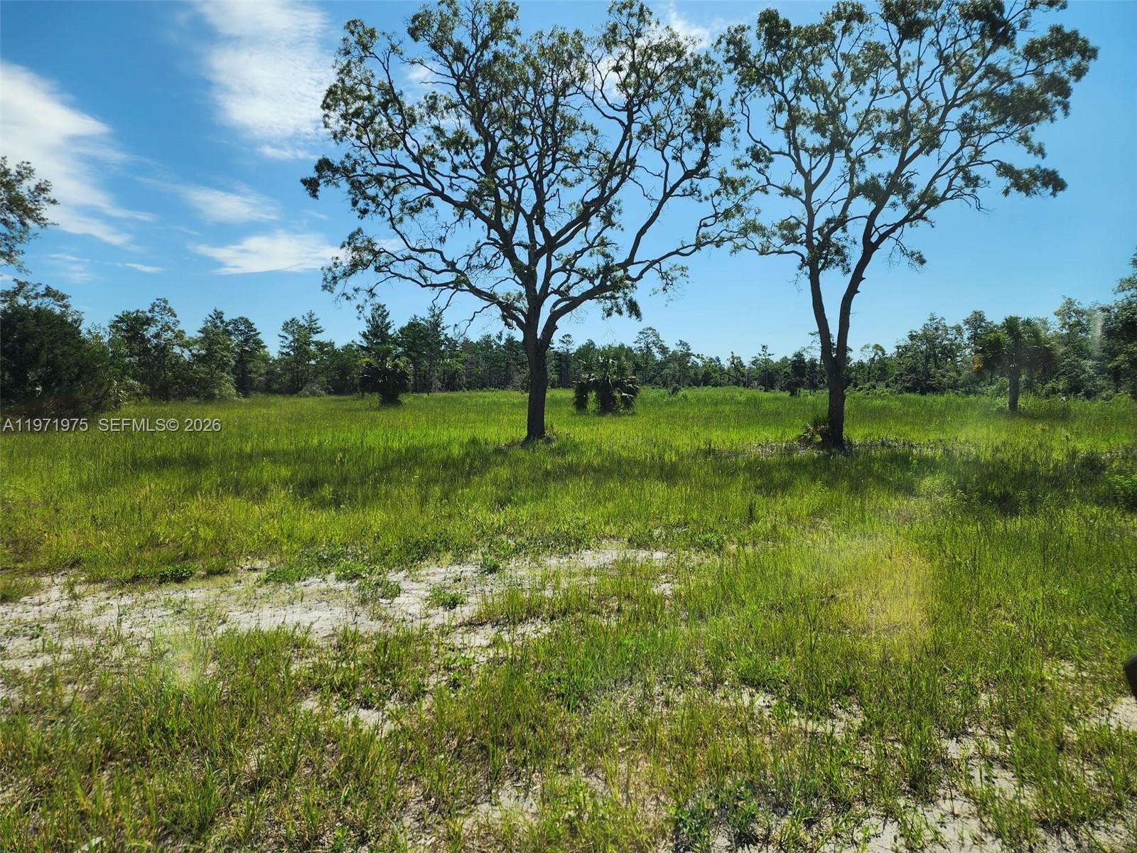Beach Road, FL 32348