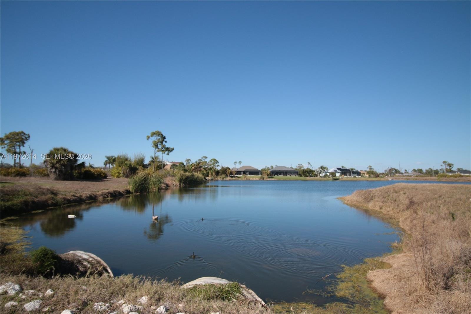 26 Harness, FL 33946 photo 15