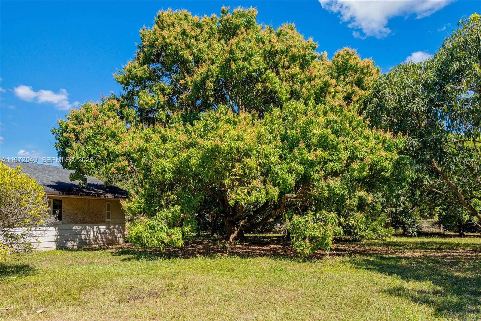 19401 SW 264th Street, Homestead, FL 33031 photo 14