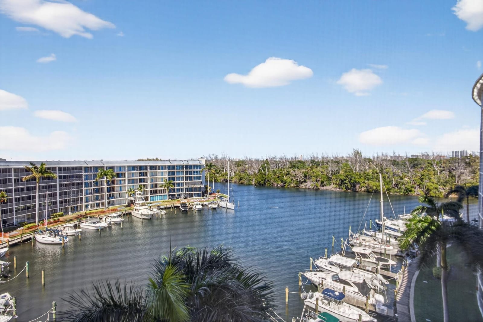 1523 E Hillsboro Boulevard 734, Deerfield Beach, FL 33441 photo 23
