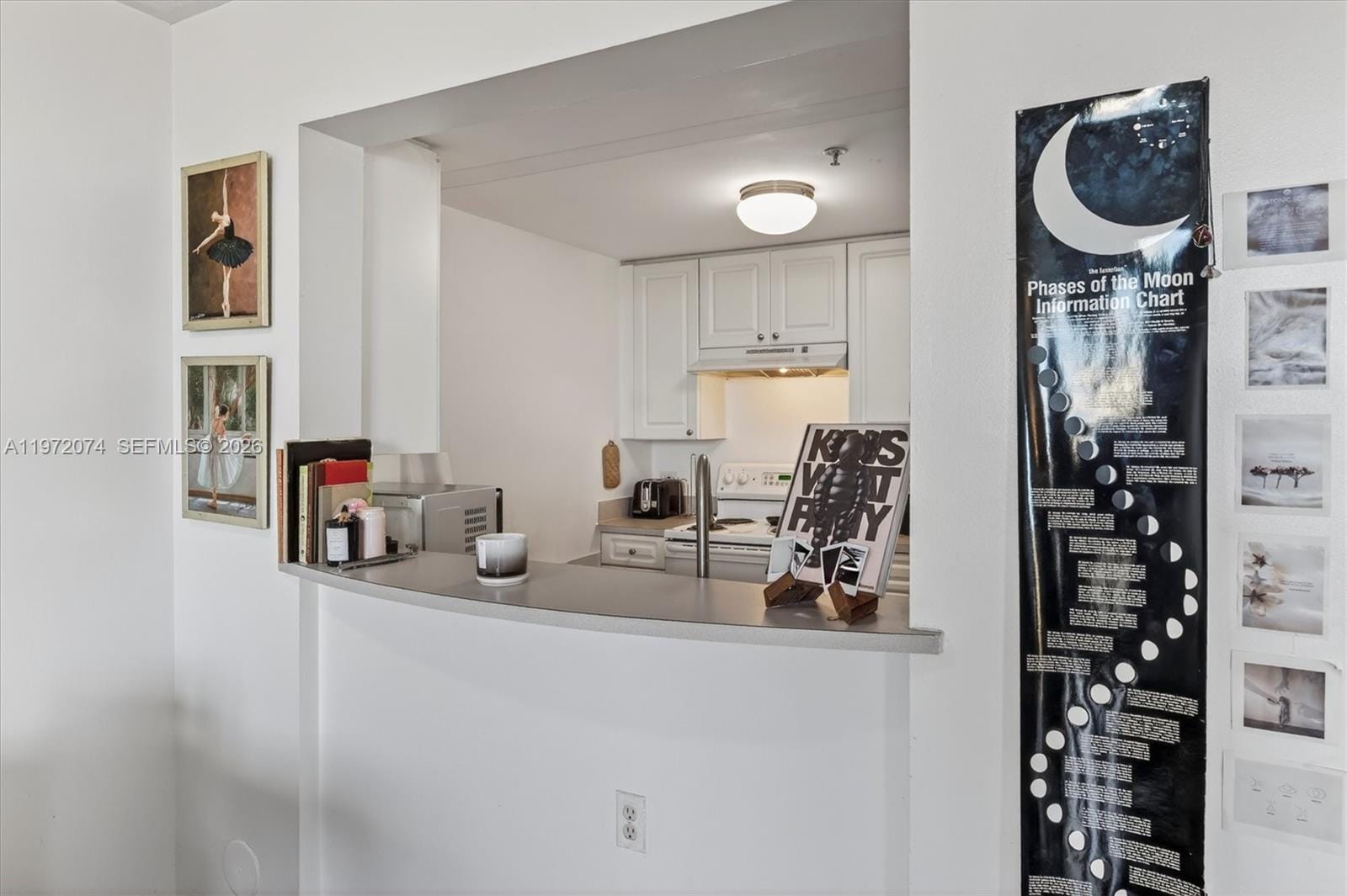 900 SW 8th Street 505, Miami, FL 33130 photo 17