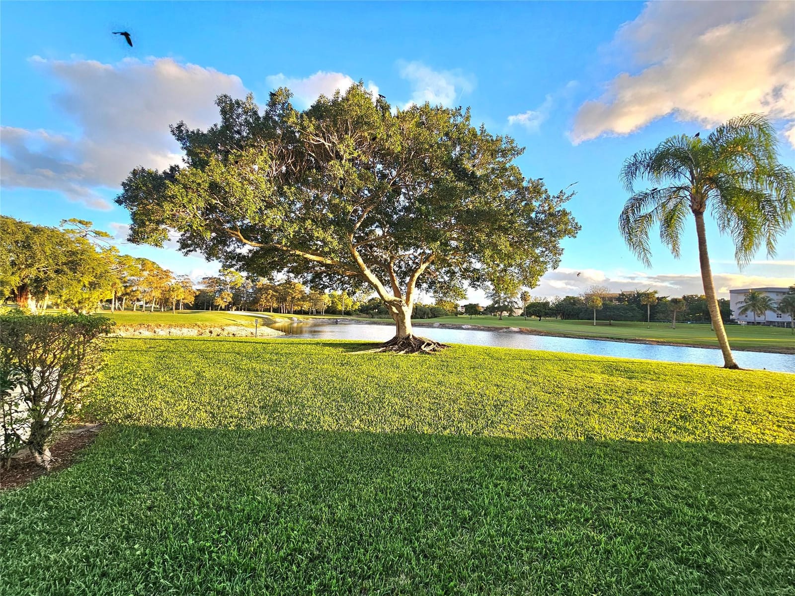 1460 NW 80th Avenue 101, Margate, FL 33063 photo 16
