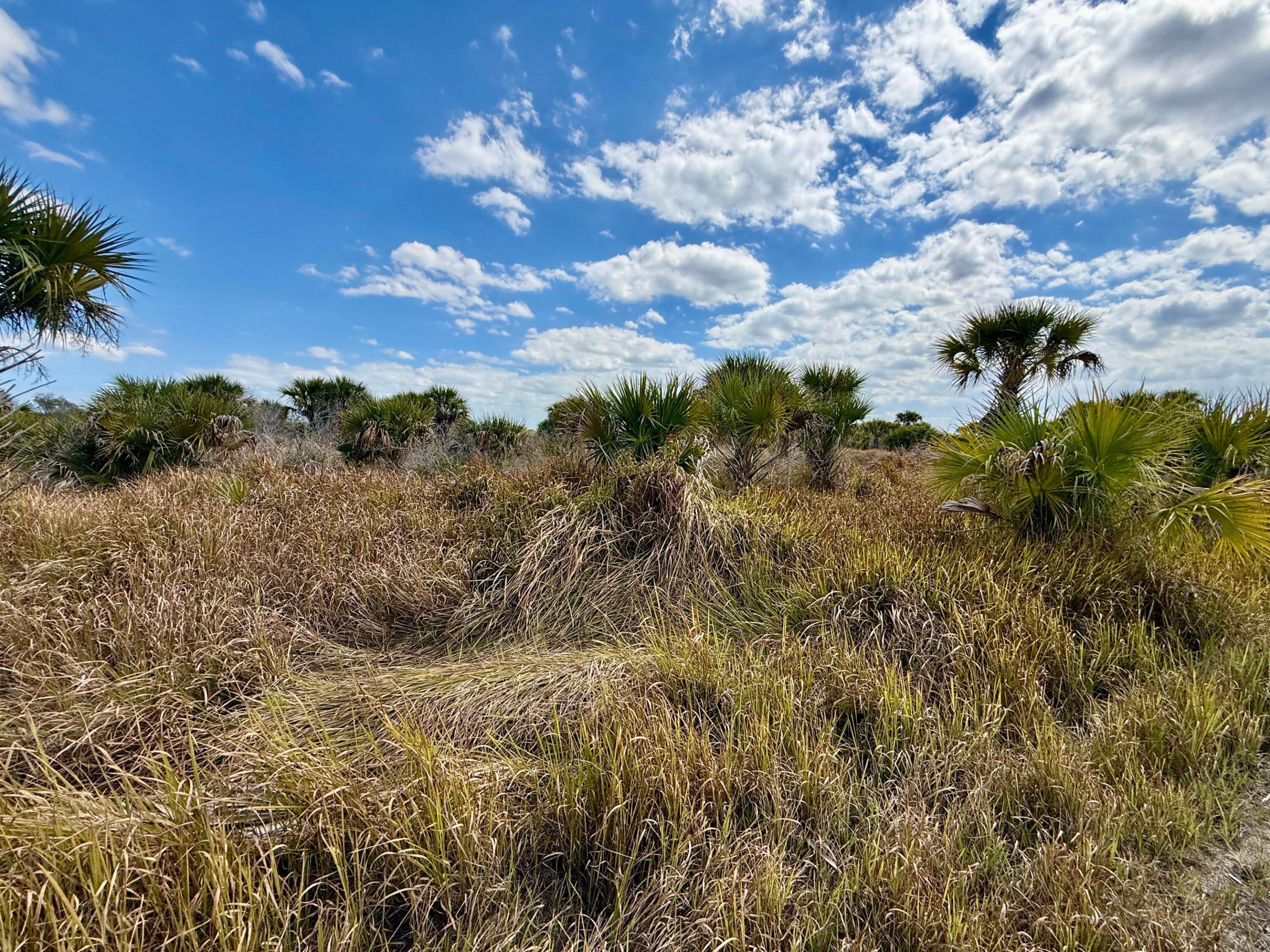 1909 Comer Terrace SW, Palm Bay, FL 32908, Palm Bay