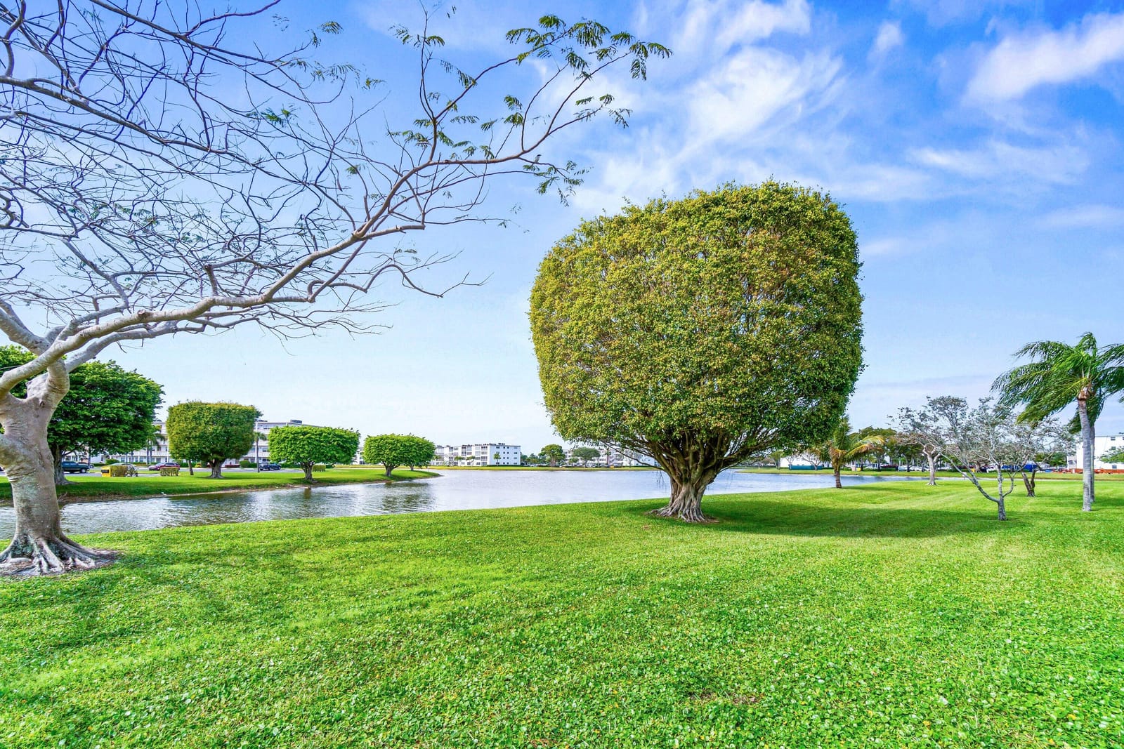 2056 Exeter D, Boca Raton, FL 33434 photo 22