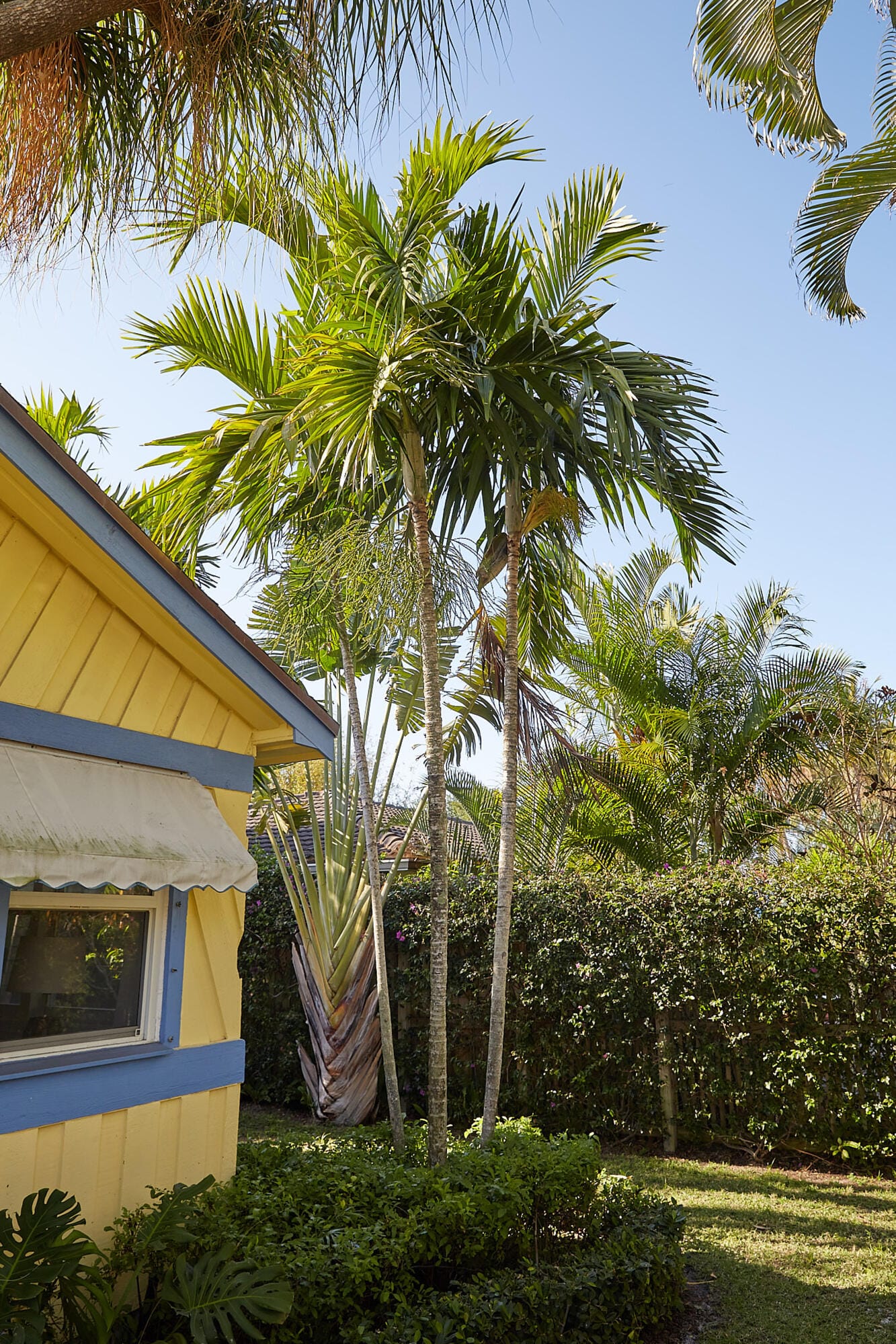 611 S Palmway — photo 4