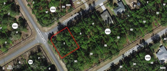 156 W Goldcoast Place, Citrus Springs, FL 34434