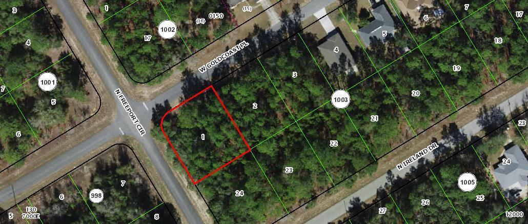 156 W Goldcoast Place, Citrus Springs, FL 34434, Citrus Springs
