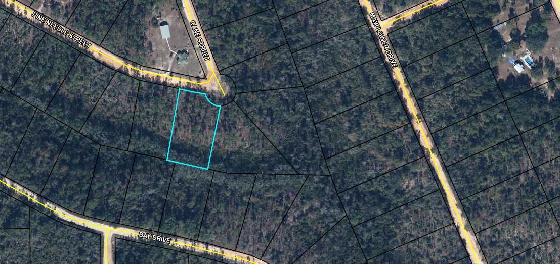 Tbd Pine Needle Street, Marianna, FL 32448, Marianna