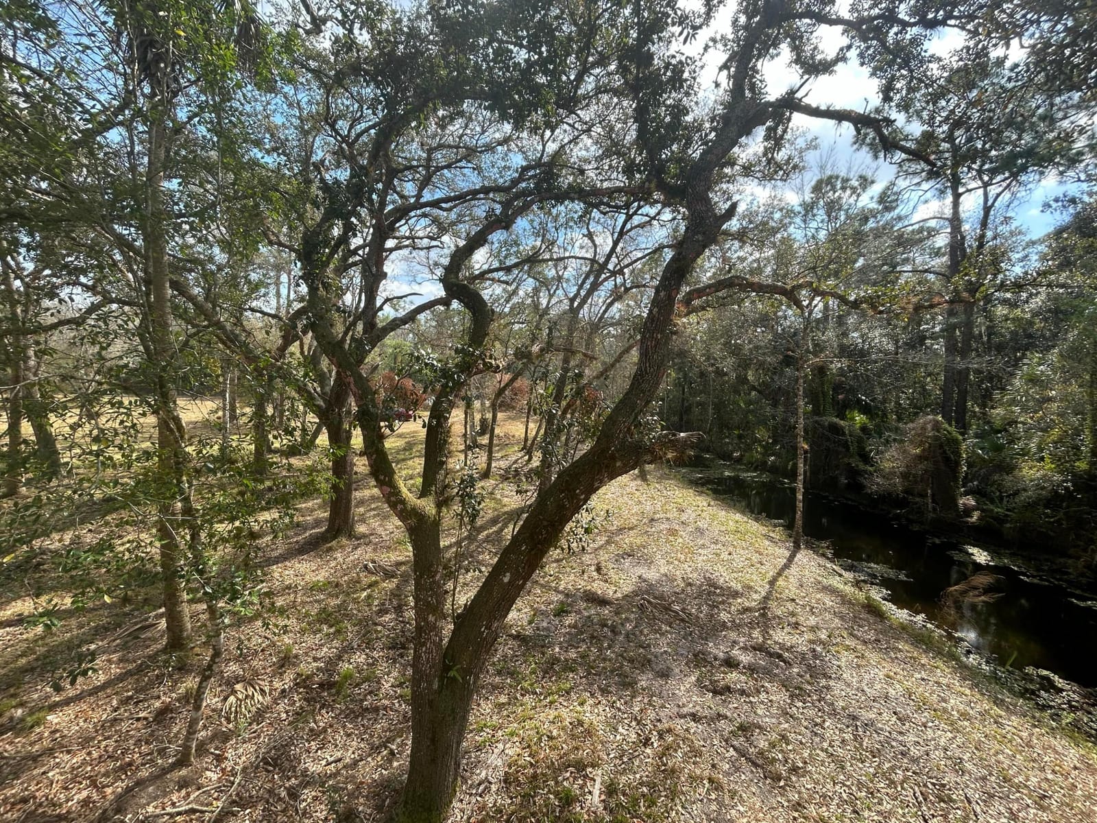 855 NW 368th Drive — photo 8