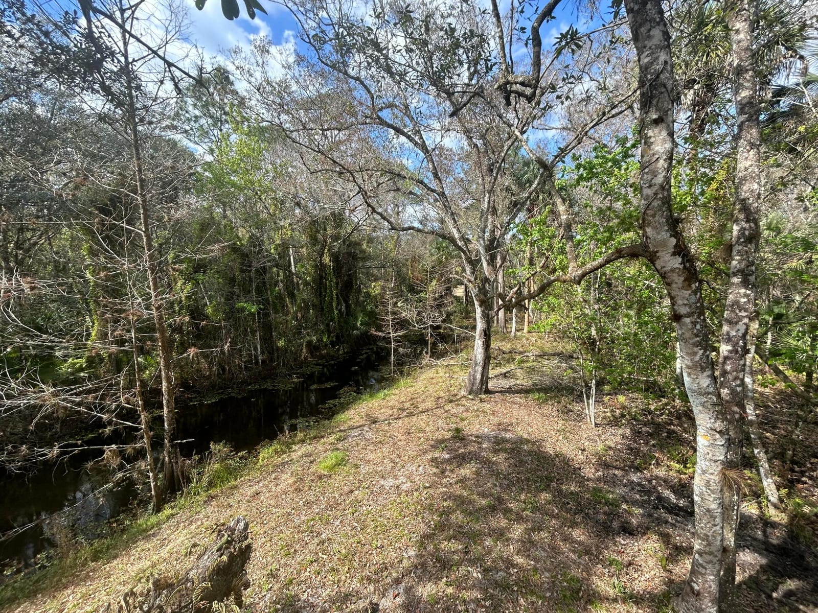 855 NW 368th Drive — photo 10
