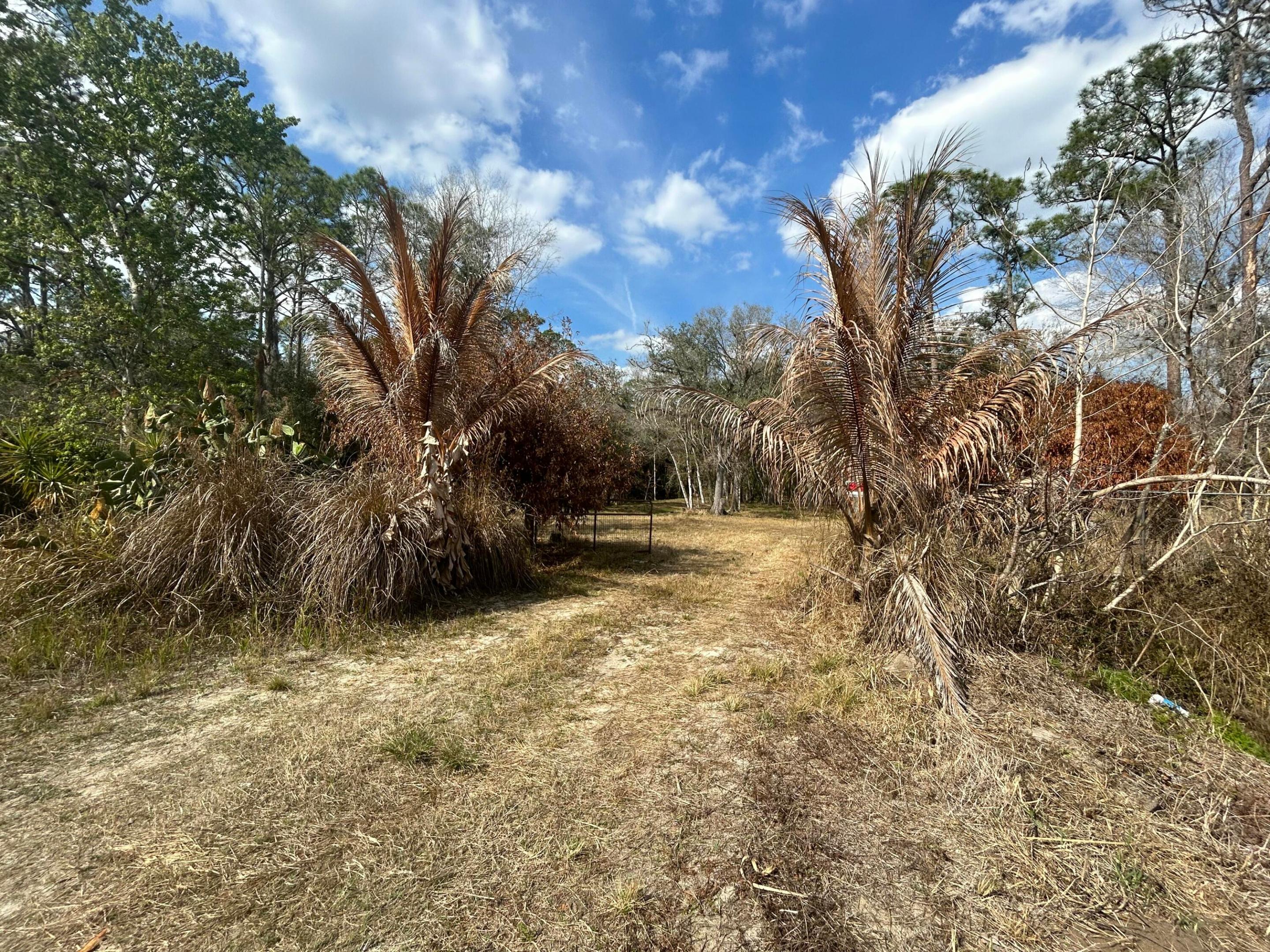 855 NW 368th Drive, Okeechobee, FL 34972, Okeechobee