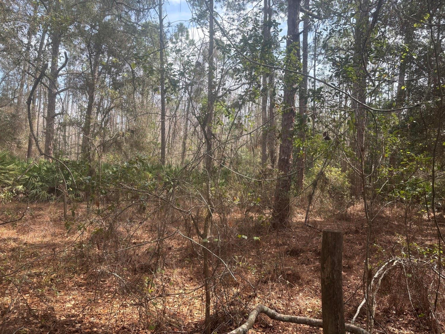 0 Old Grade Road, FL 33868, Polk City