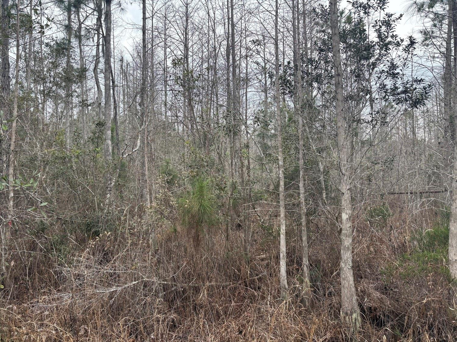 0 Old Grade Road, FL 33868, Polk City