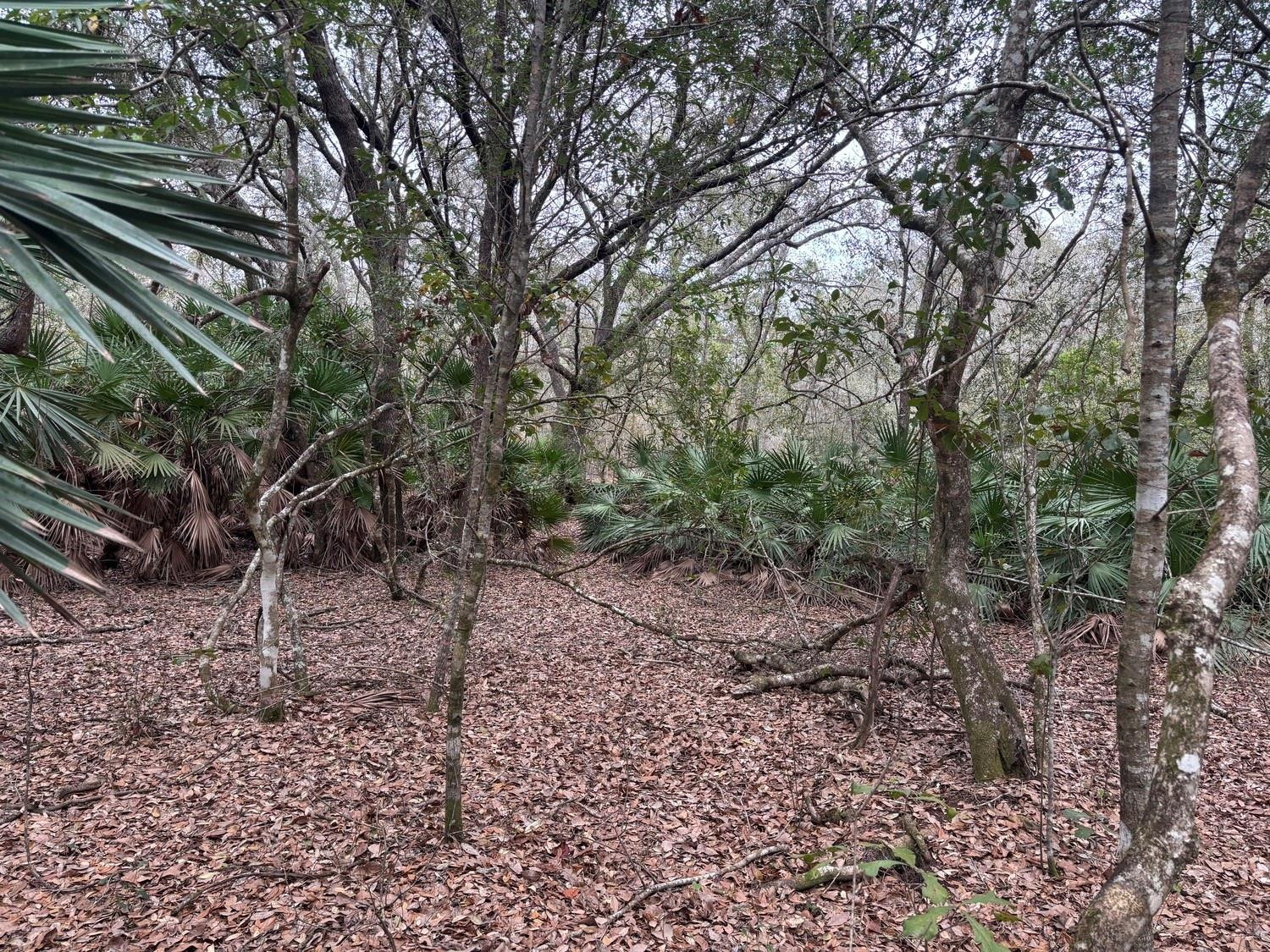 0 Old Grade Road, FL 33868, Polk City