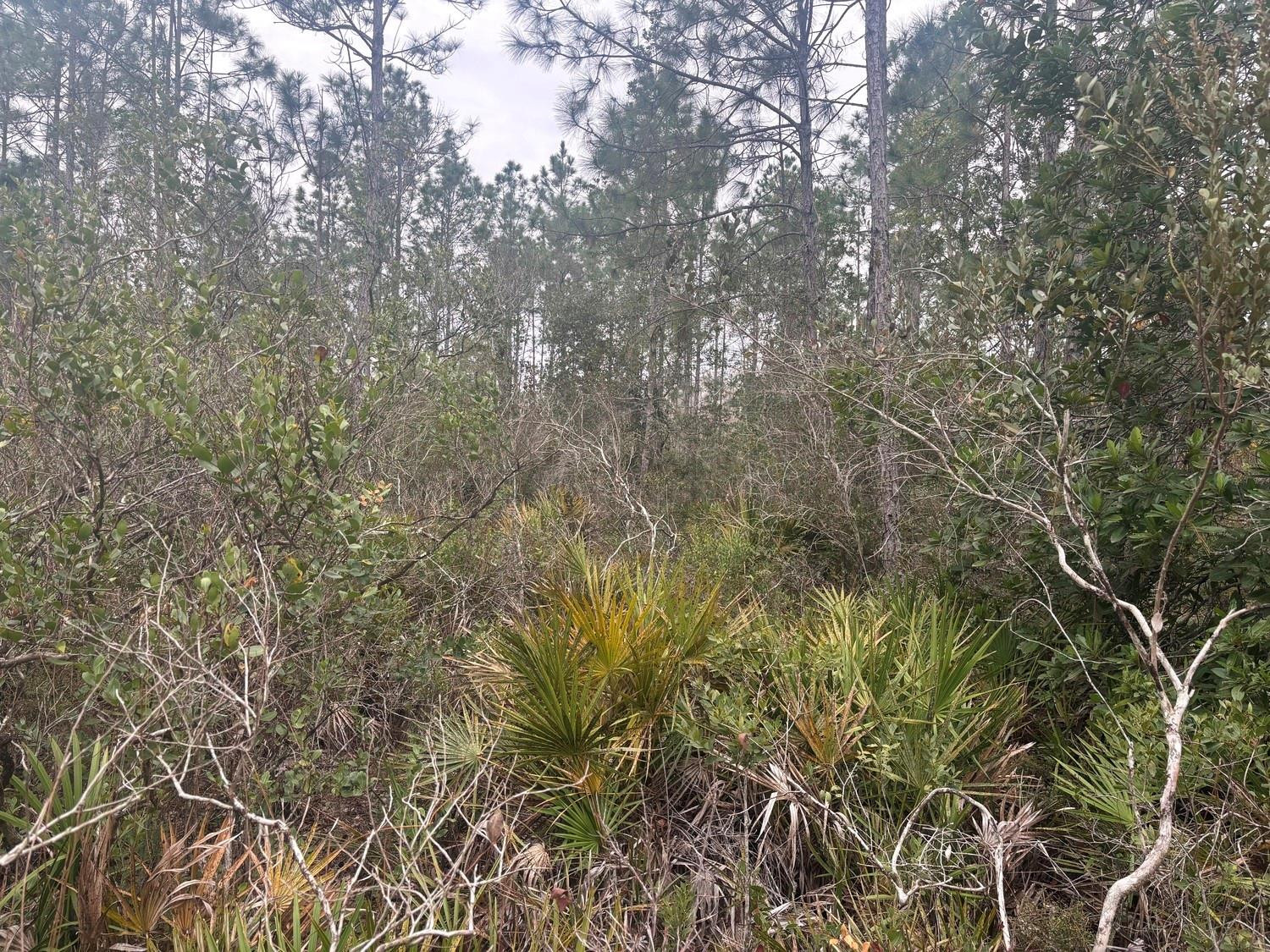 0 Old Grade Road, FL 33868, Polk City