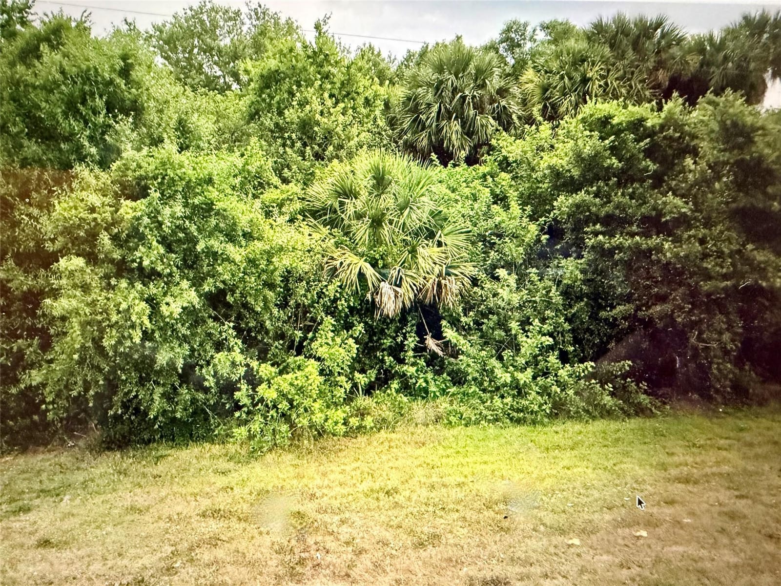 3712 N Hwy 98 — photo 2
