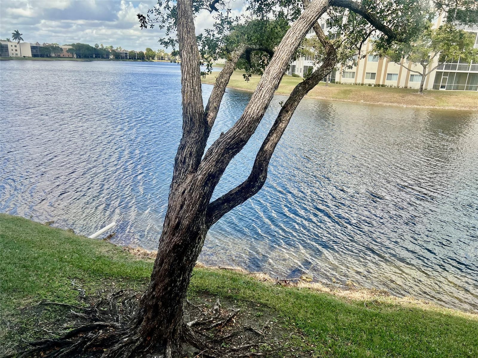 7426 Ashmont Circle 211, Tamarac, FL 33321 photo 7