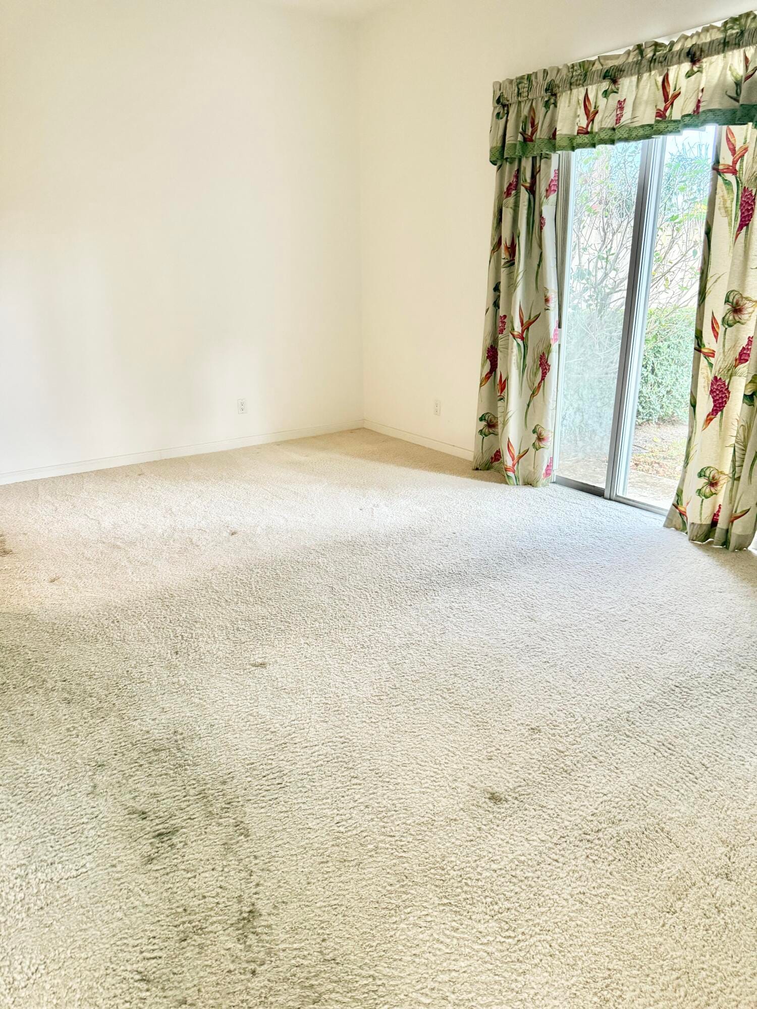 7800 Quida Drive — photo 7