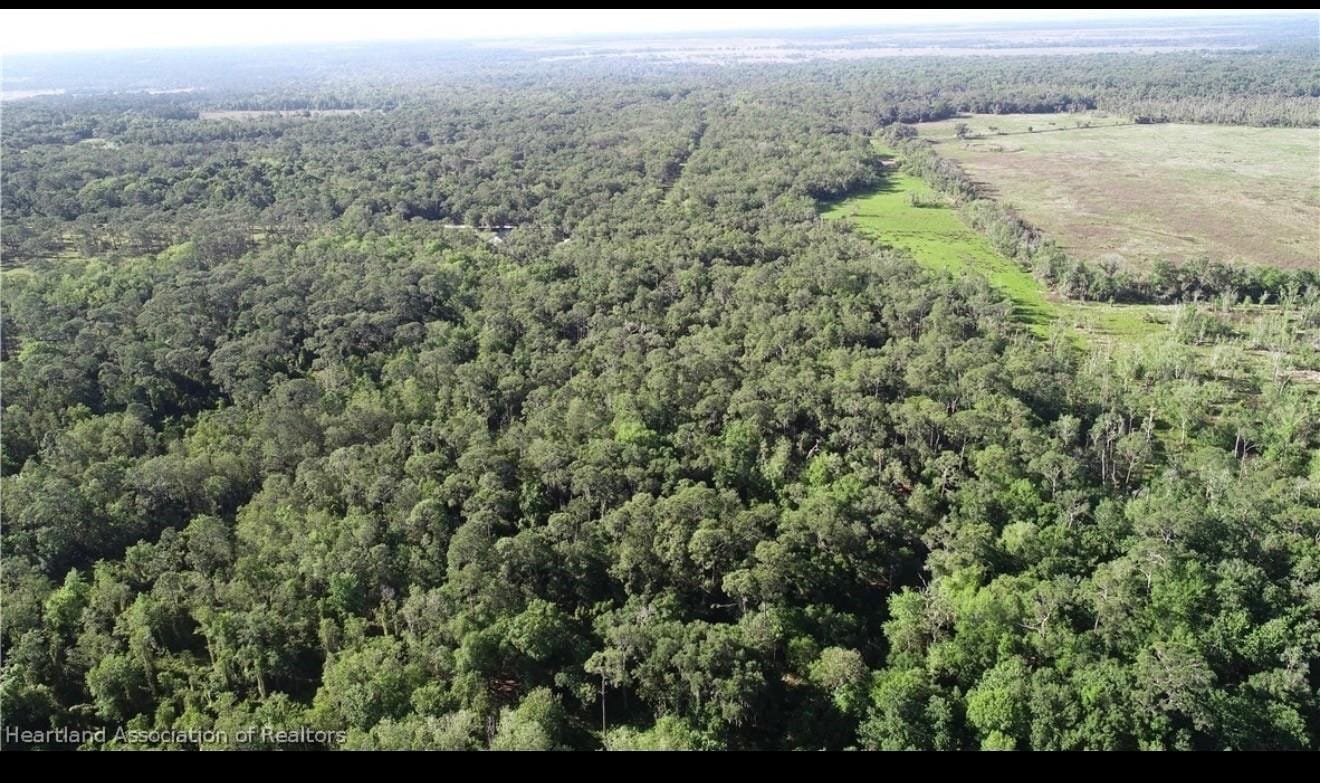 1040 Cracker Hammock, Sebring, FL 33875 photo 7
