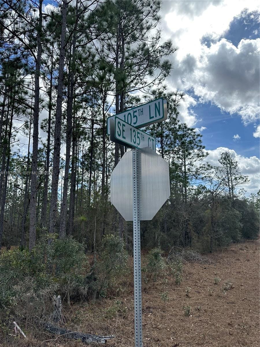 00 SE 135th Court, FL 34431 photo 3