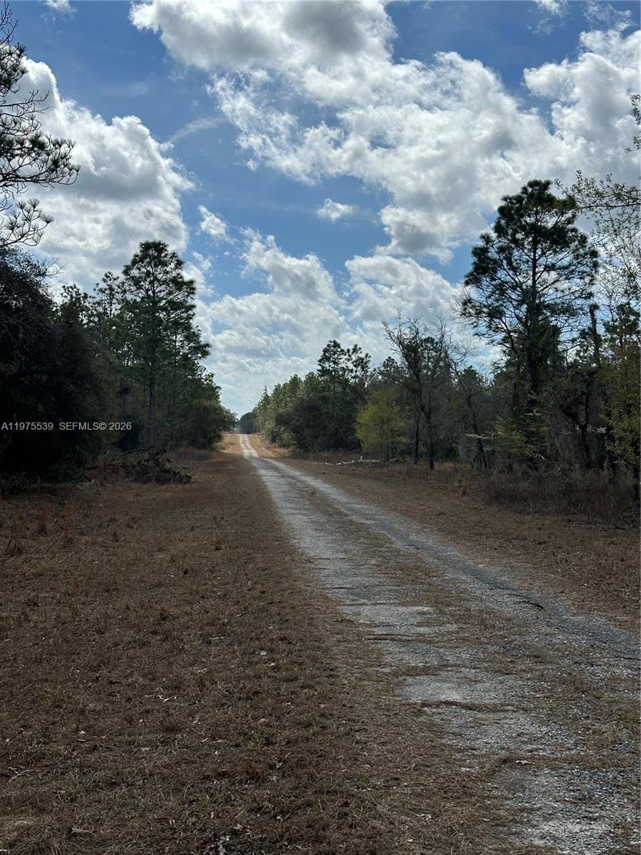 00 SE 135th Court, FL 34431 photo 4