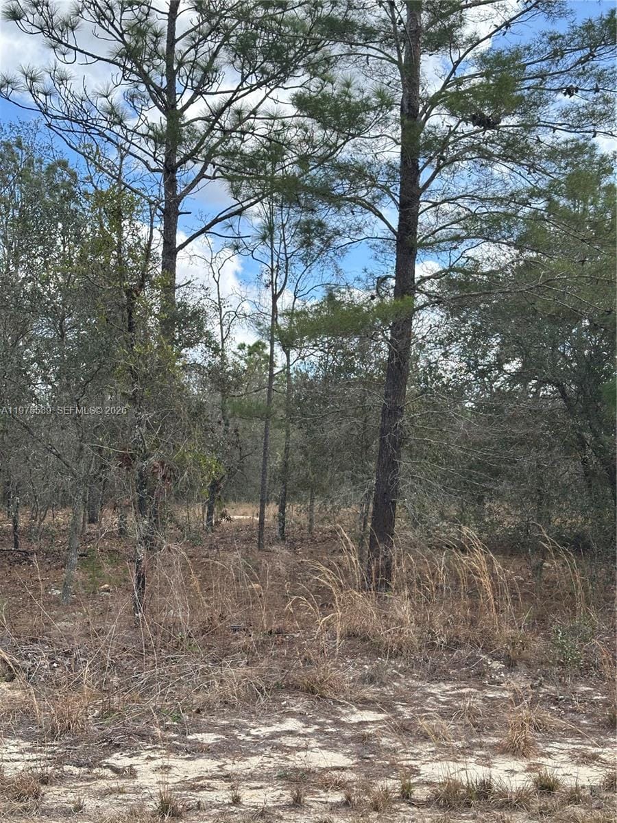 00 SE 135th Court, FL 34431 photo 5