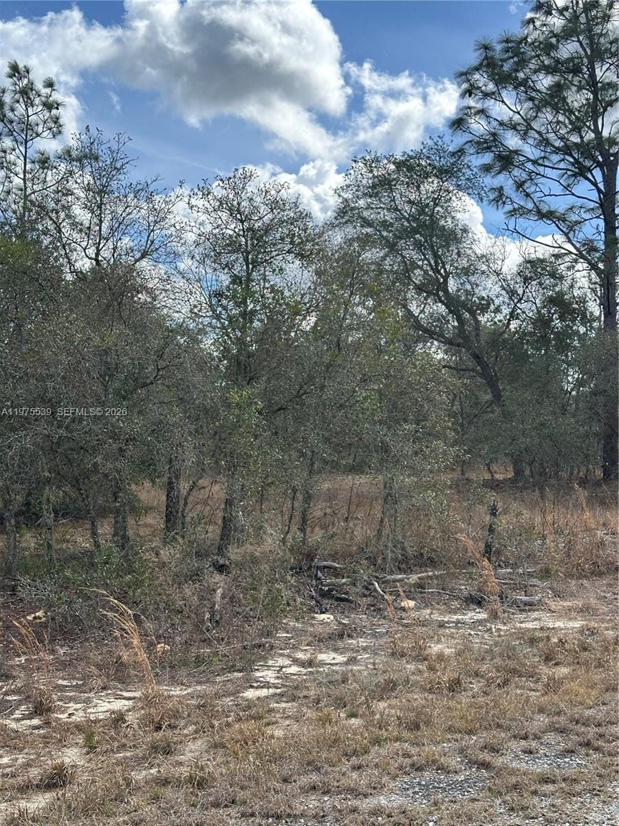 00 SE 135th Court, FL 34431 photo 6