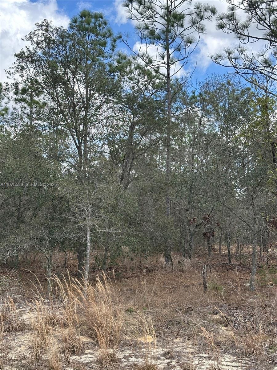 00 SE 135th Court, FL 34431 photo 7
