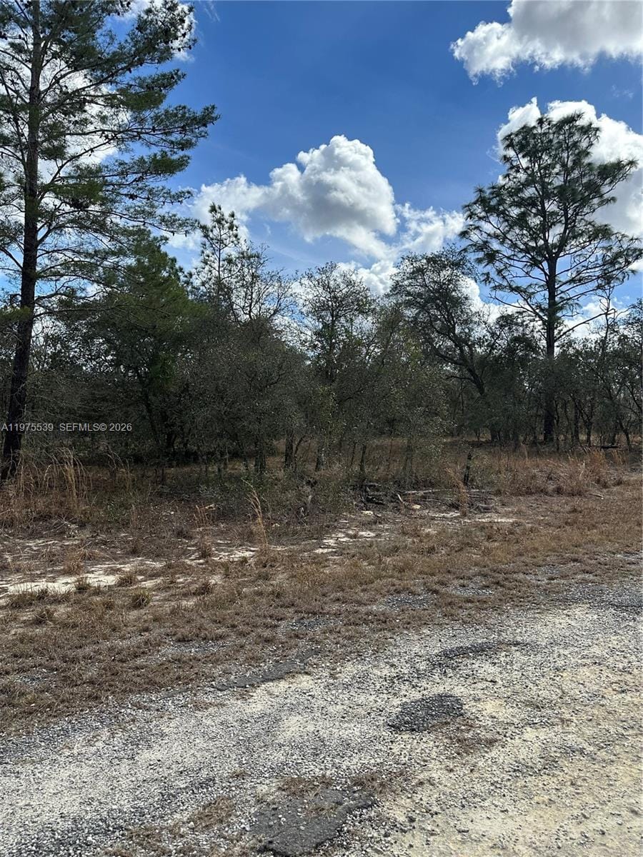 00 SE 135th Court, FL 34431 photo 8
