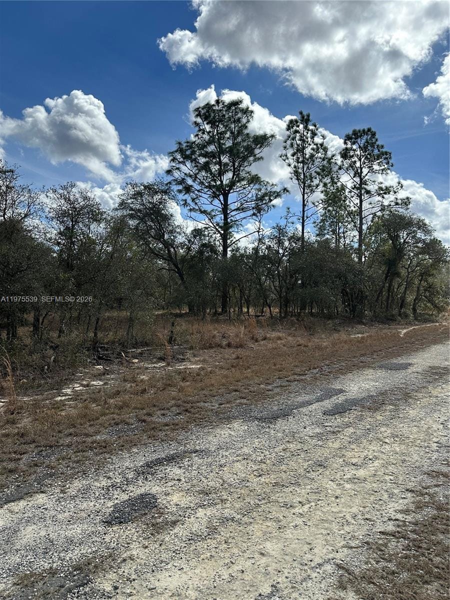 00 SE 135th Court, FL 34431 photo 9