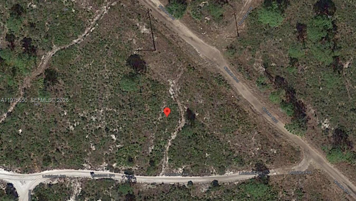 532 Nichele Boulevard, Lake Placid, FL 33852, Lake Placid