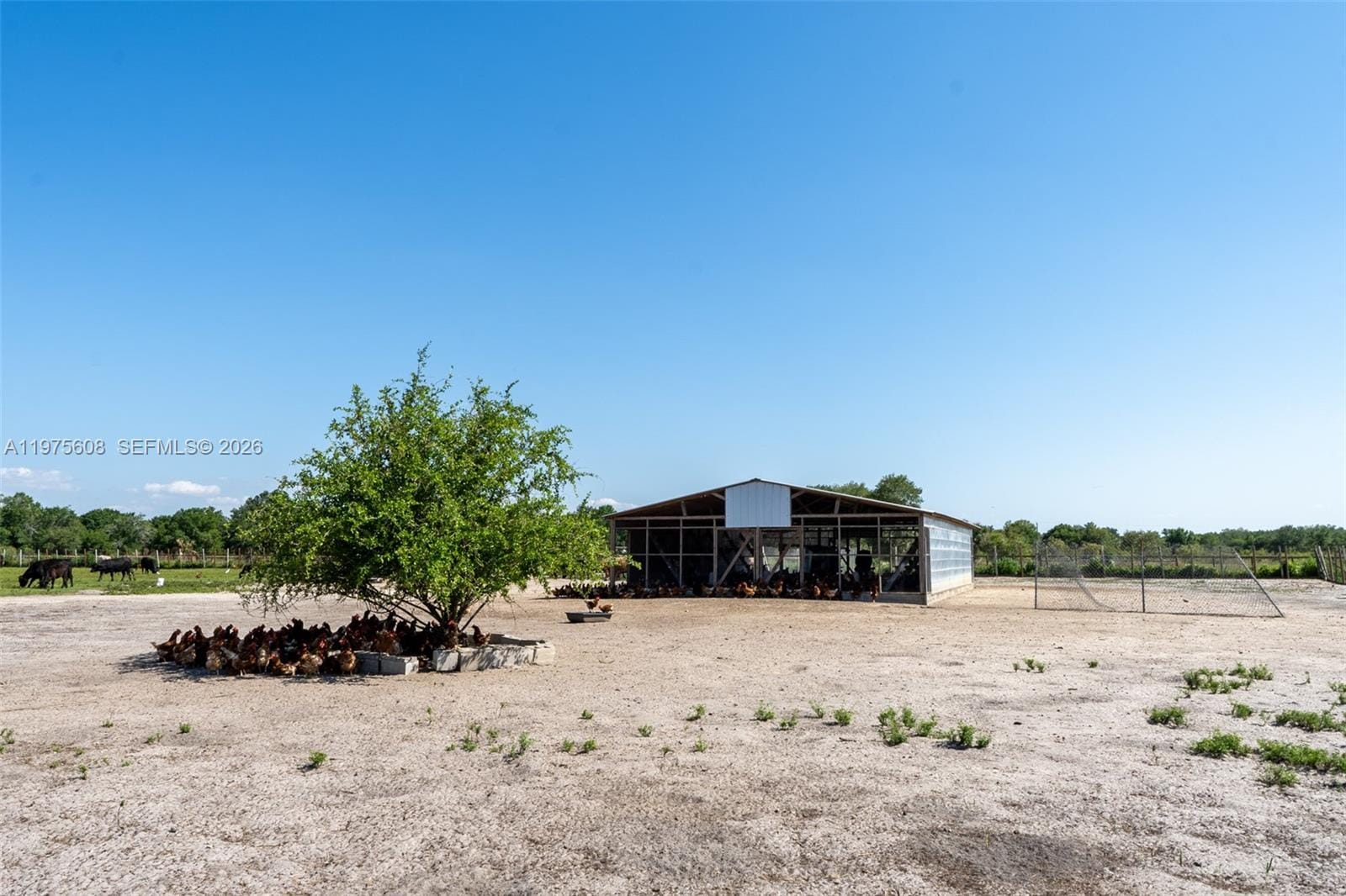21810 NW 270th Street, Okeechobee, FL 34972 photo 8
