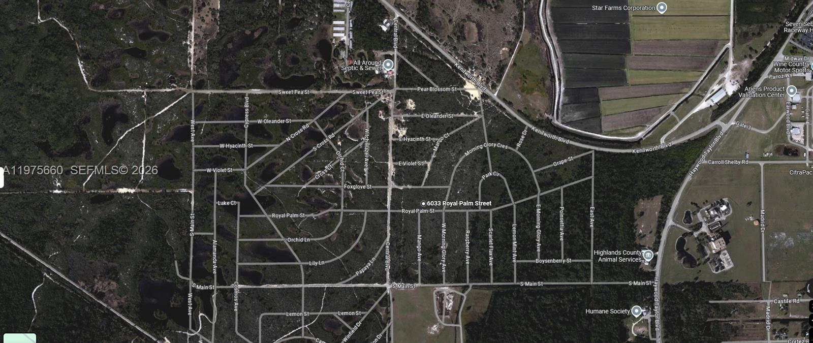 6033 Royal Palm Street, Sebring, FL 33870, Sebring