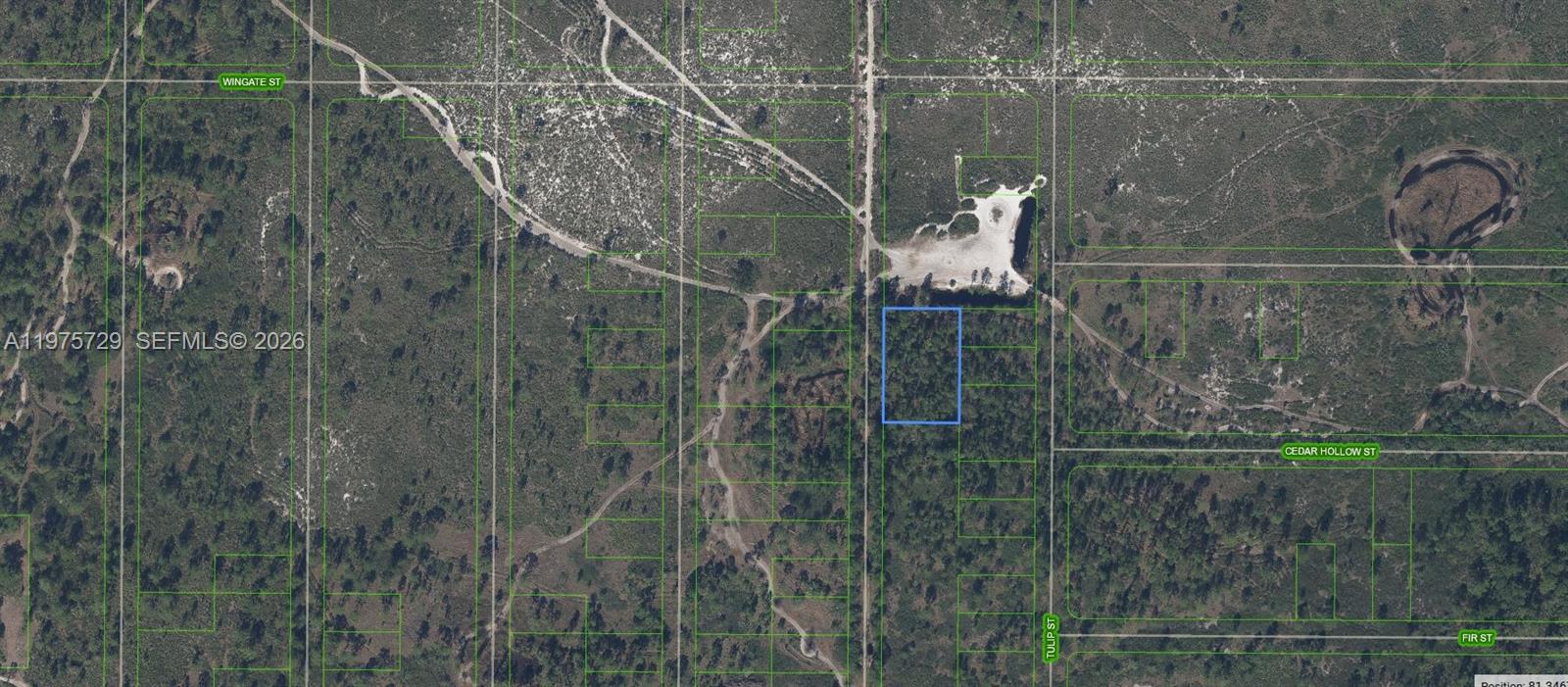 881 Papaya Street, Lake Placid, FL 33852, Lake Placid