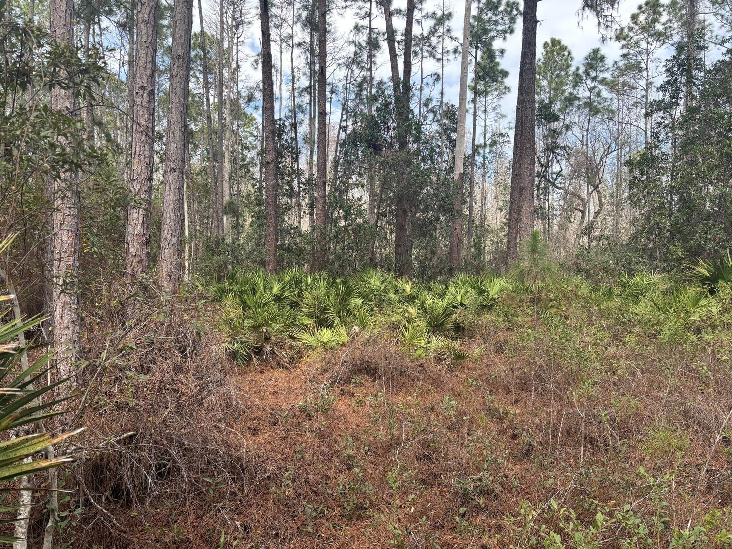 0 Old Grade Road, FL 33868, Polk City