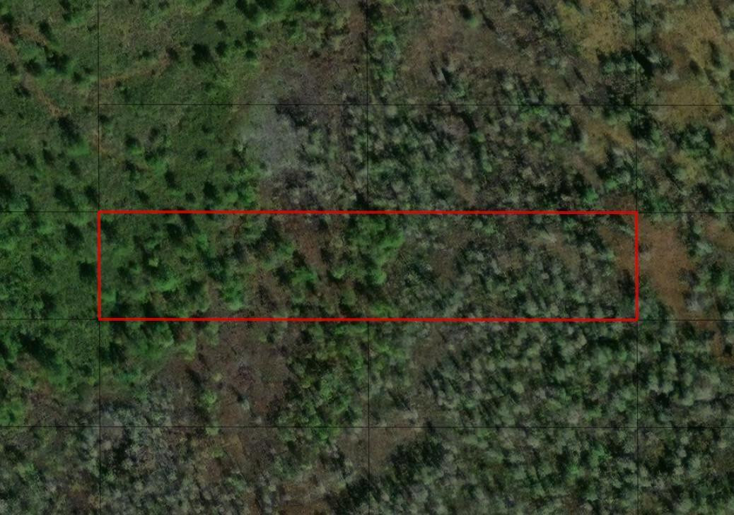 0 Old Grade Road, FL 33868, Polk City