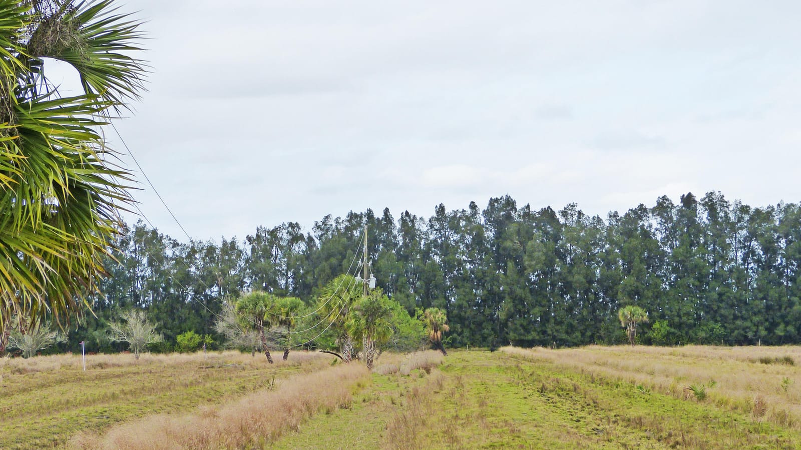 Tbd Kelly Road — photo 3
