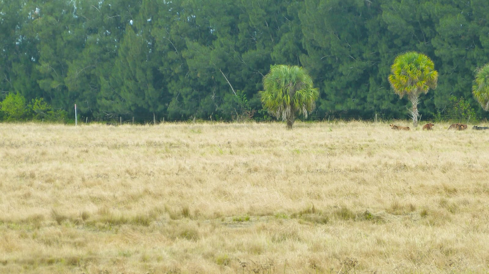 Tbd Kelly Road — photo 4