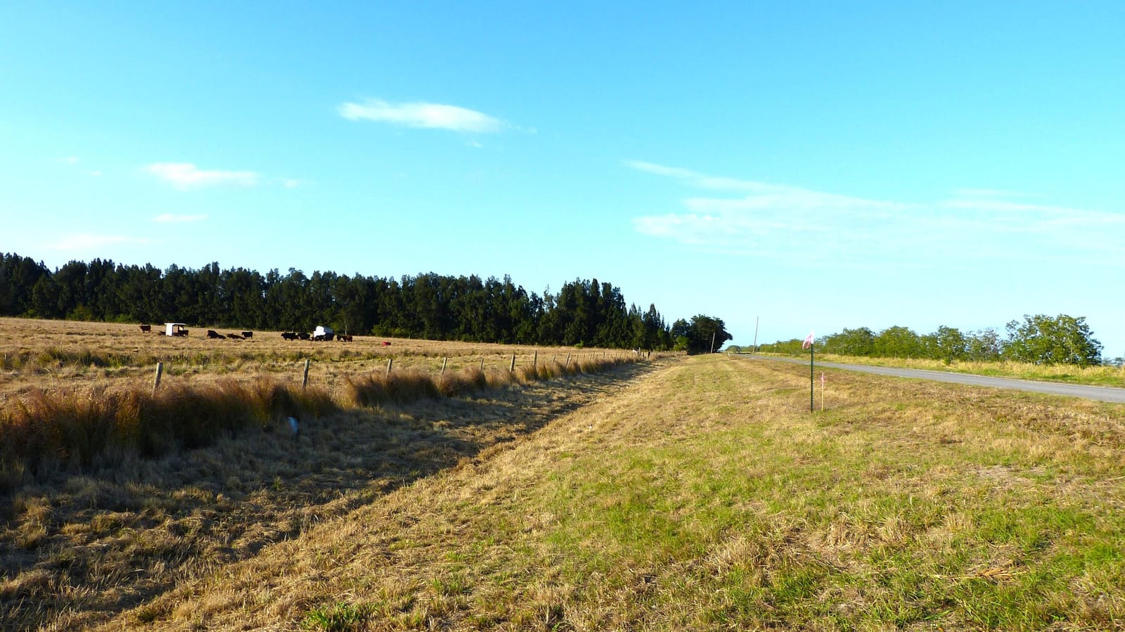Tbd Kelly Road — photo 6