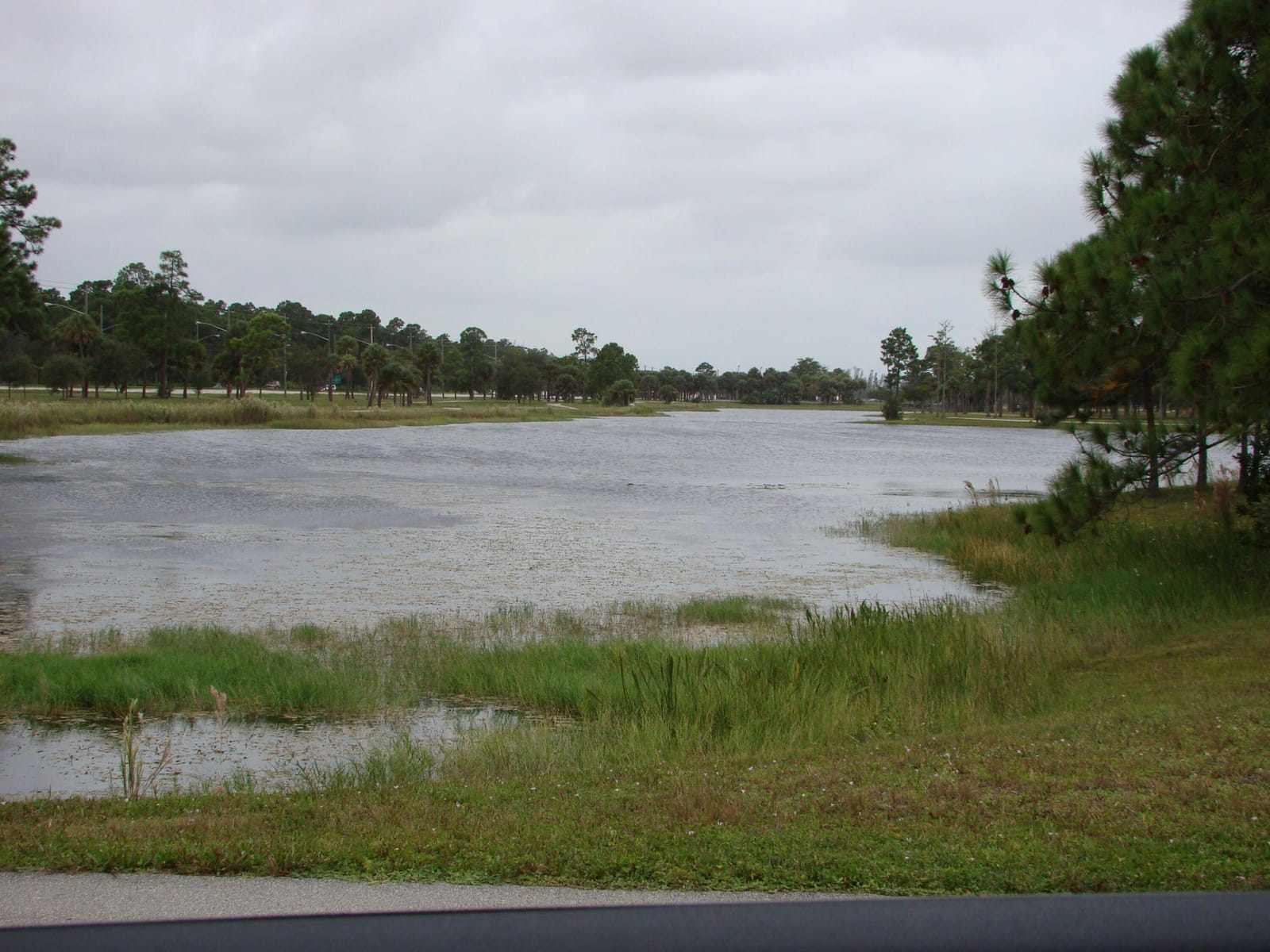 209 Foxtail Drive D-3, Greenacres, FL 33415 photo 30