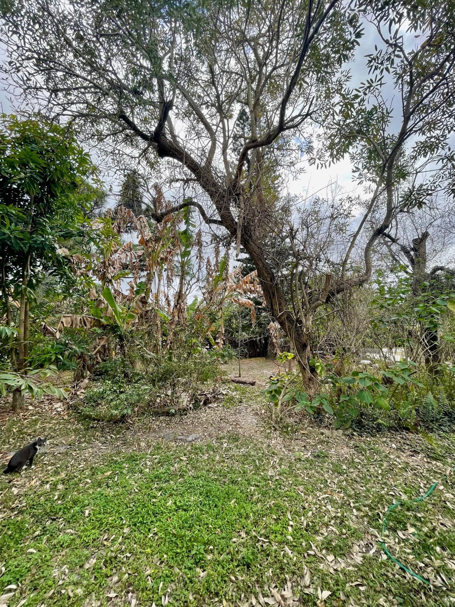 6685 Lakeside Road — photo 8