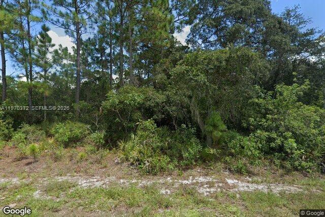 217 Eamers Drive, Lake Placid, FL 33852, Lake Placid