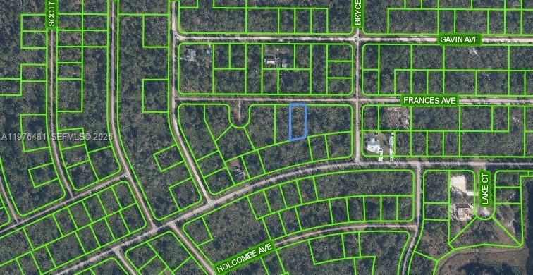 3130 Frances Avenue, Lake Placid, FL 33852, Lake Placid