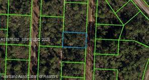718 Neale Street, FL 33852, Lake Placid