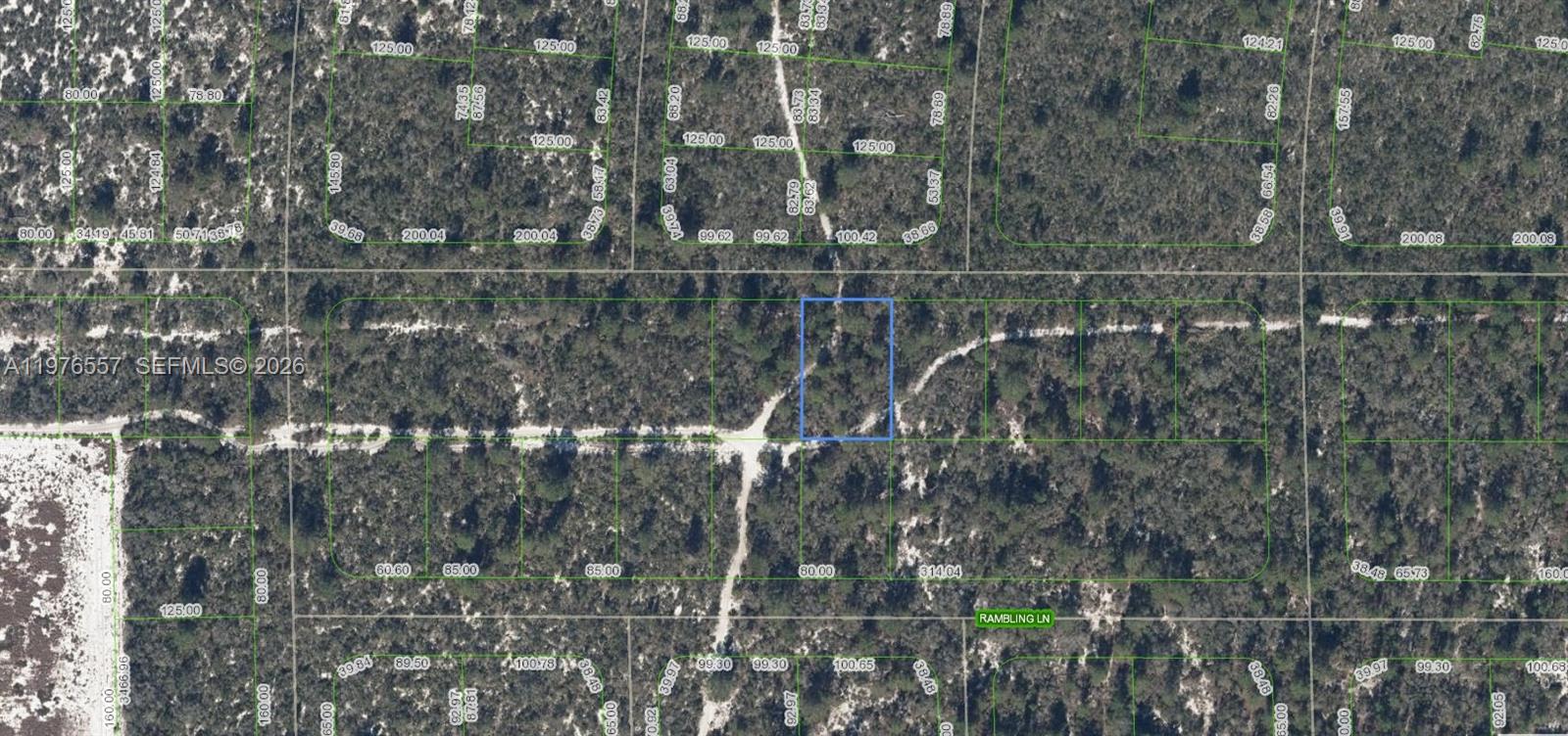 437 Souvenir Lane, Lake Placid, FL 33852, Lake Placid