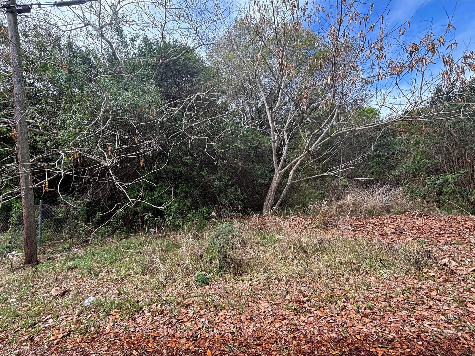 8375 63rd Avenue — photo 2
