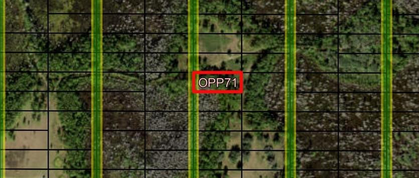 0 Old Grade Road, FL 33868, Polk City